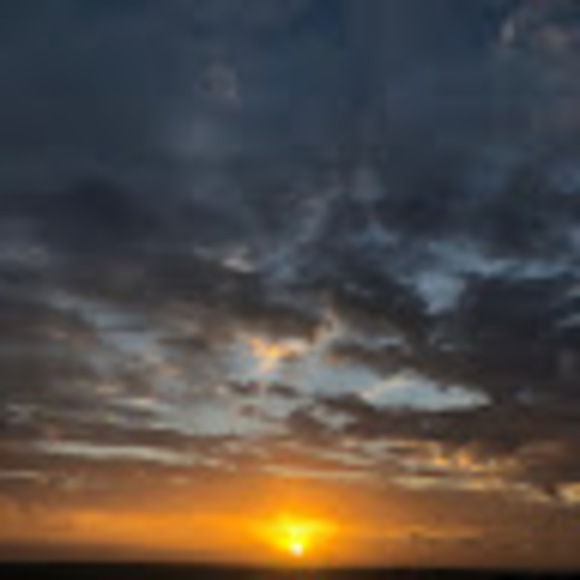 Meet your Posher, Orinta - Picture 1 of 1